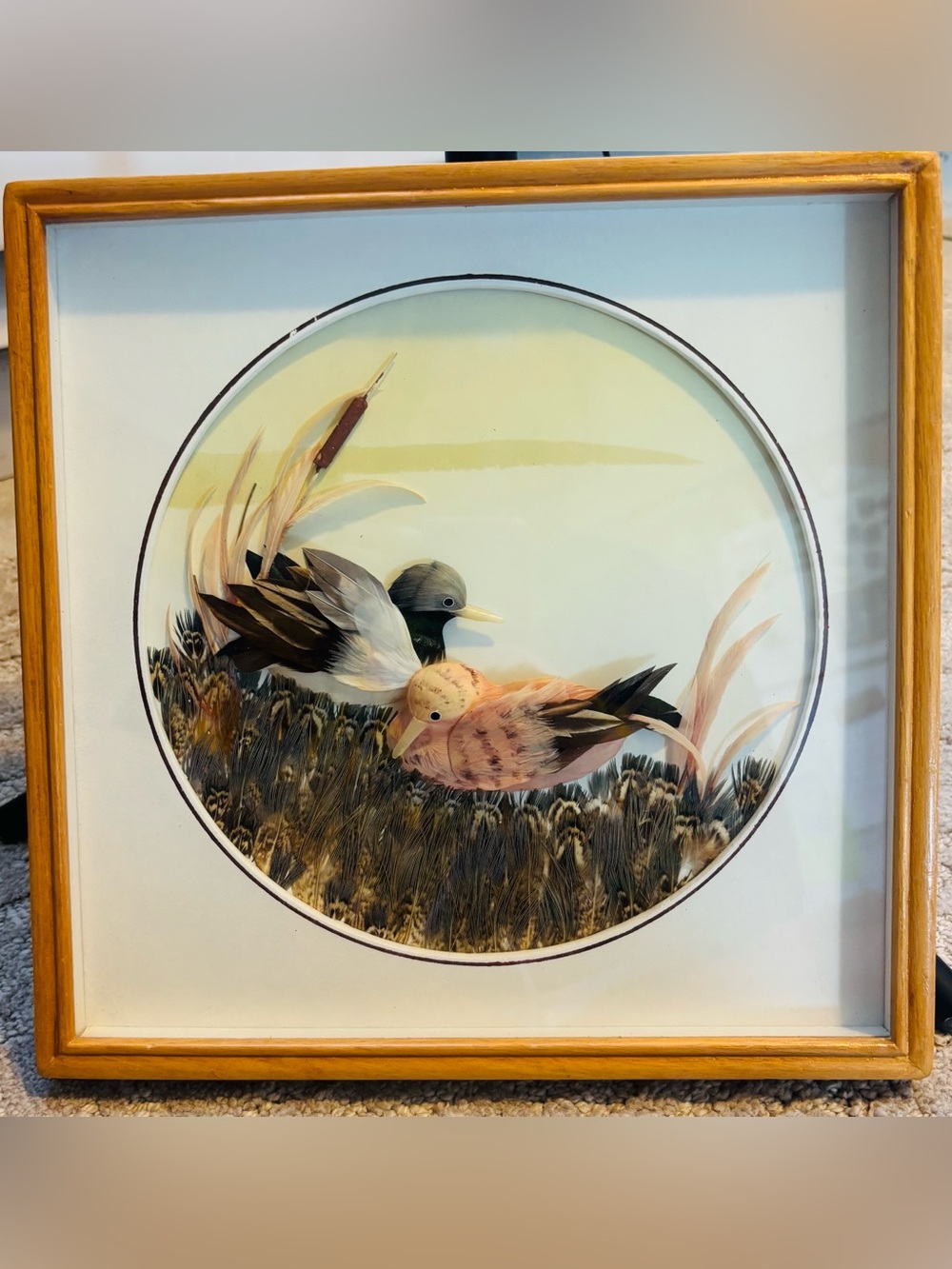 Vintage Mexican Feather Art Framed - Real Feathers Birds in Marsh Reed